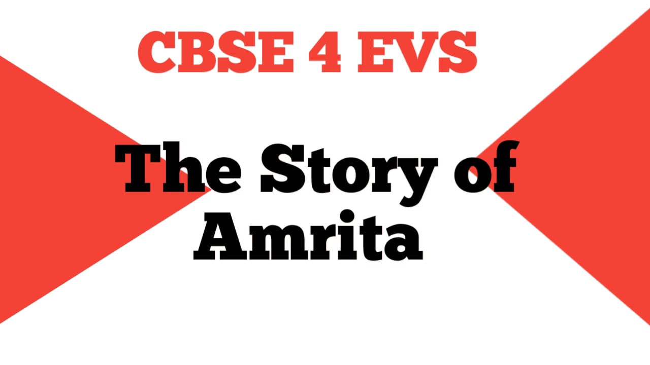 NCERT Solutions Class 4 EVS The Story of Amrita srinivasgollapelli com NCERT Solutions Class 4 EVS The Story of Amrita srinivasgollapelli com