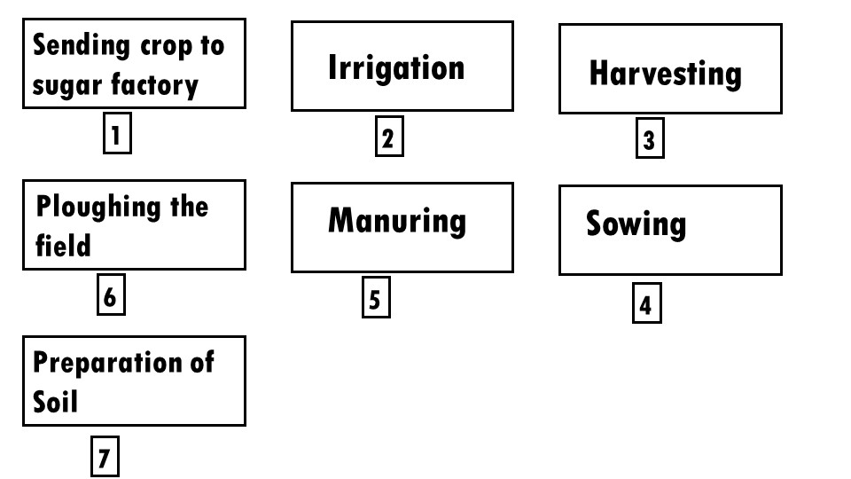 NCERT Solutions Std 8 Science Crop Production and Management